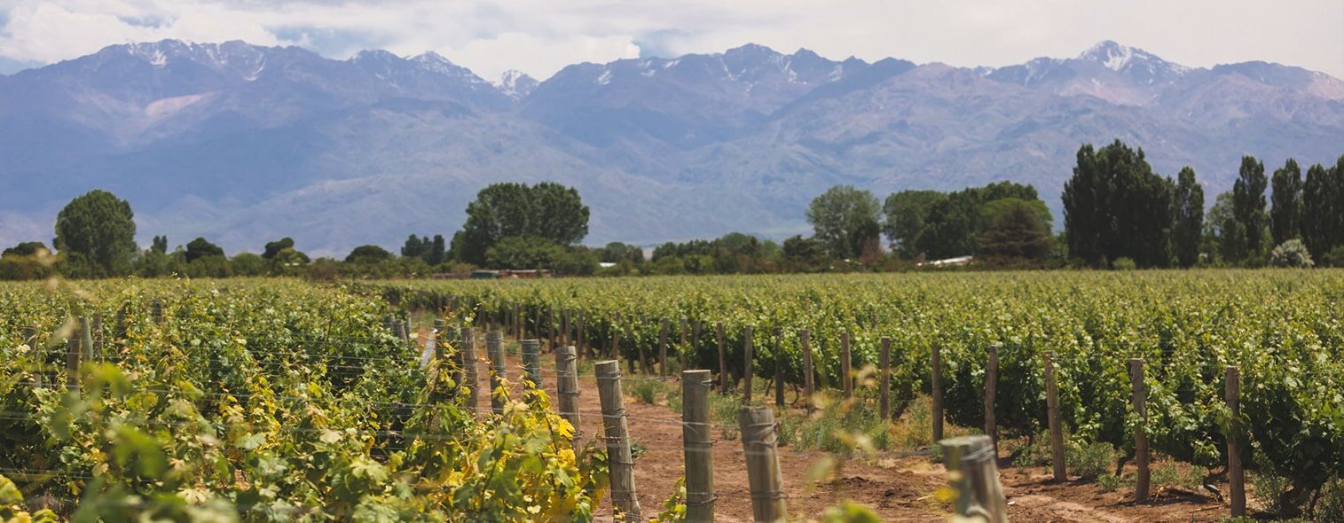 wine-tasting